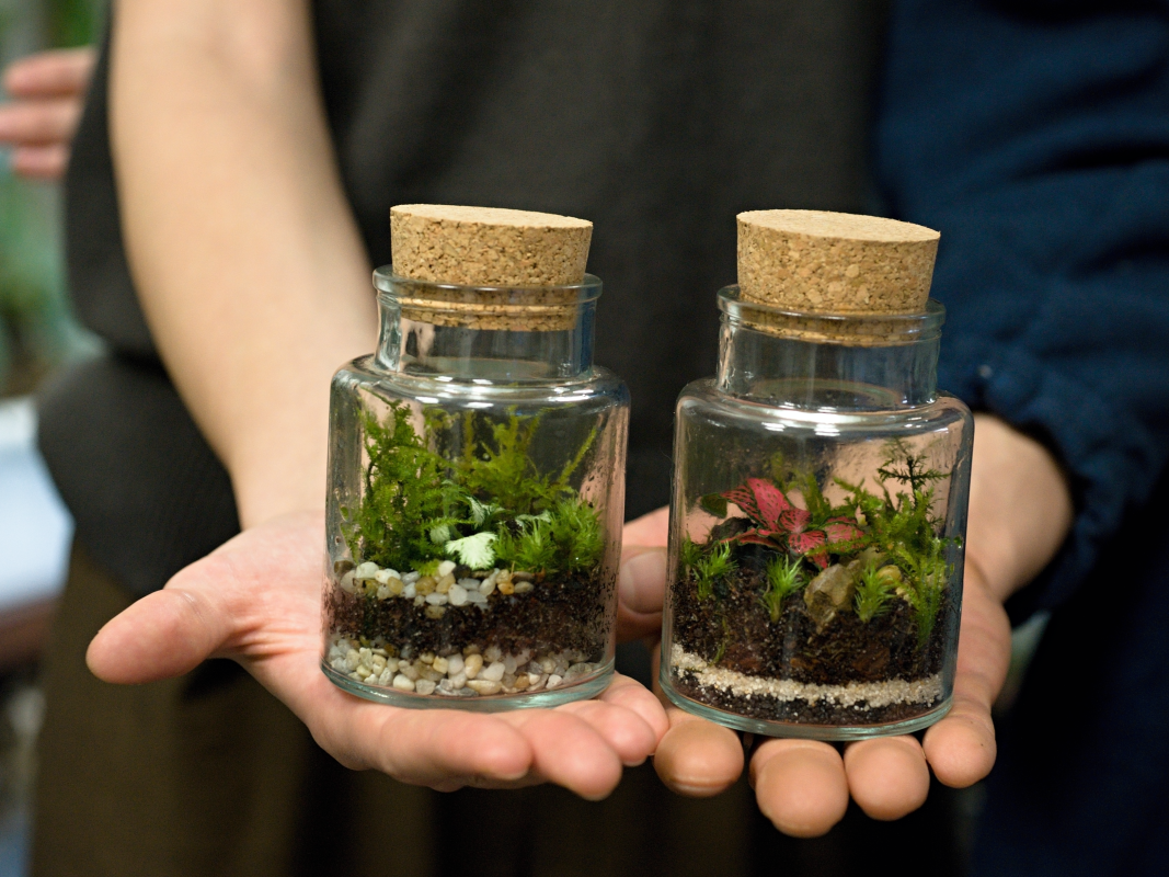 mechárium Parvum Milujeme mech